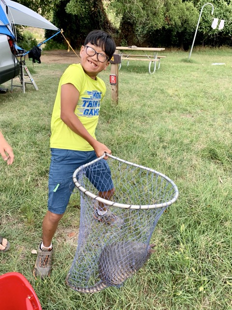 Caught an Armadillo