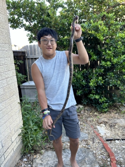 Caught a Snake