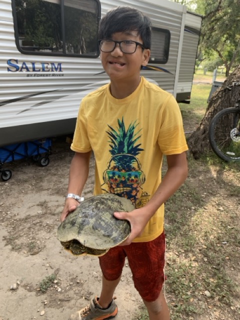 Caught a Turtle